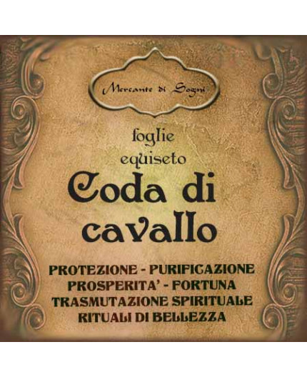 scopri la magia della coda: un viaggio incantevole attraverso leggende, tradizioni e rituali affascinanti. unisciti a noi per esplorare il mistero e la bellezza di questo fenomeno unico, che affonda le radici nella cultura e nell'immaginario collettivo italiano.