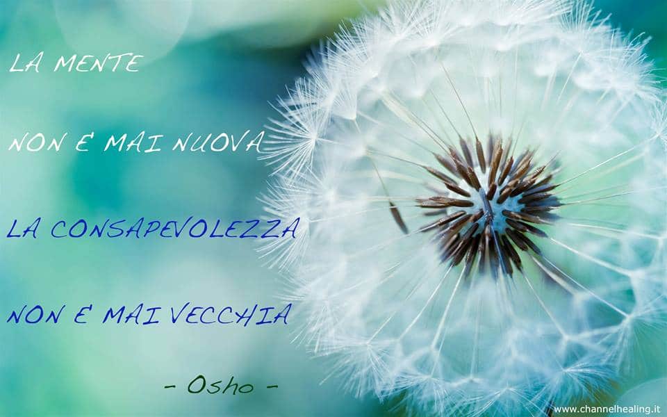 scopri il potere della consapevolezza: un viaggio interiore alla ricerca della serenità e dell'equilibrio. impara a vivere nel presente e a migliorare la tua qualità della vita.