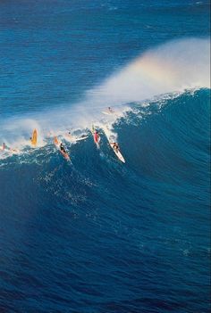 scopri il mondo affascinante dell'arte del surf, dove la creatività incontra l'avventura. esplora le tecniche, le onde e la cultura che rendono il surf una forma d'arte unica e stimolante.