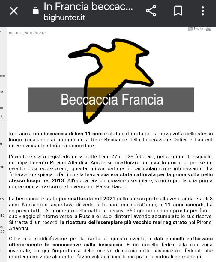 scopri il mondo delle sorprese ia, dove la tecnologia incontra la creatività. esplora innovazioni sorprendenti e come l'intelligenza artificiale sta trasformando le nostre vite con idee originali e affascinanti. un viaggio nel futuro ti aspetta!