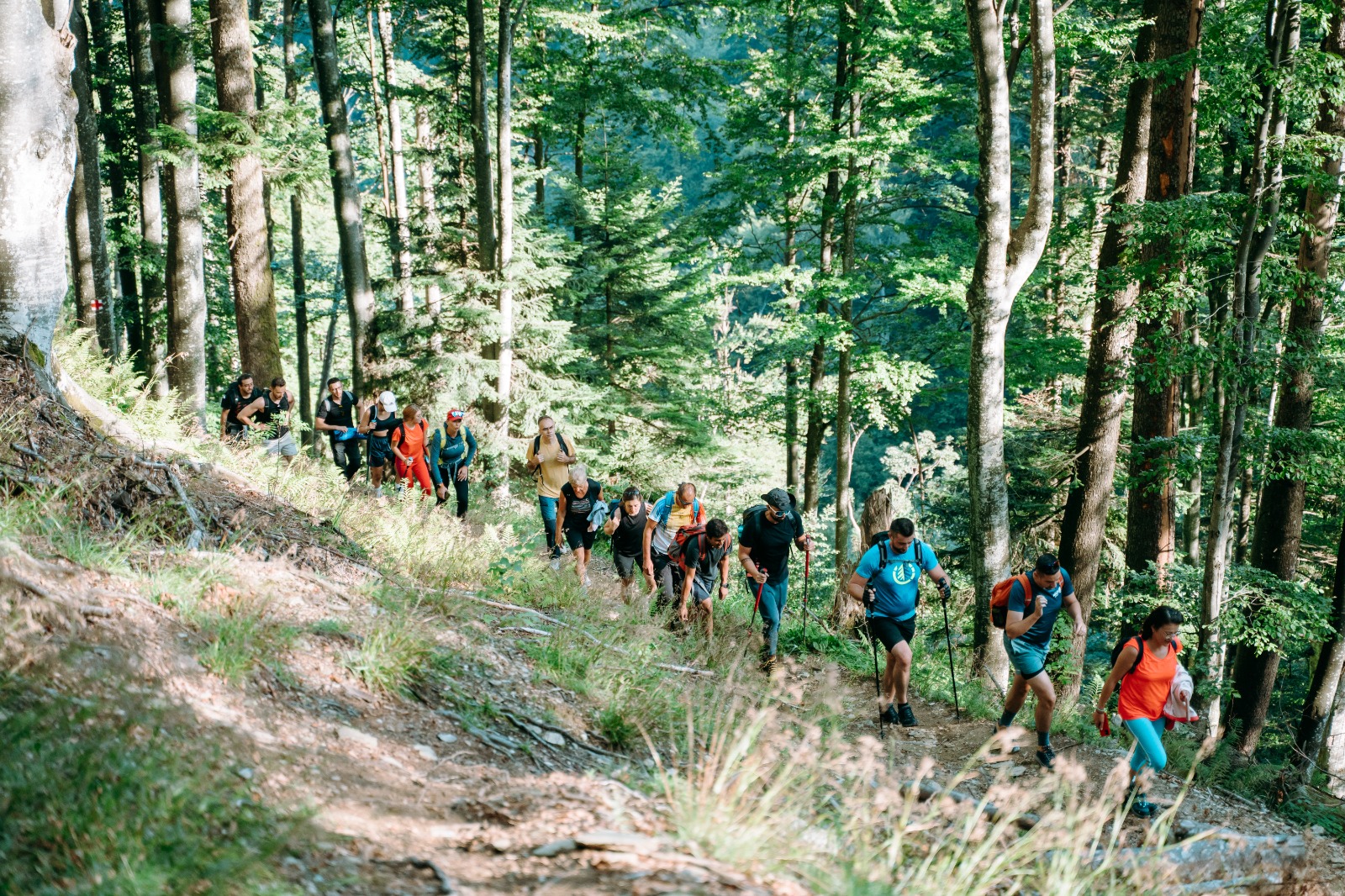 scopri il mondo incantevole di submagia, dove la magia si fonde con l'arte e la creatività. un viaggio unico tra illusioni e realtà, perfetto per chi cerca esperienze straordinarie. immergiti in un'atmosfera magica e lasciati sorprendere!